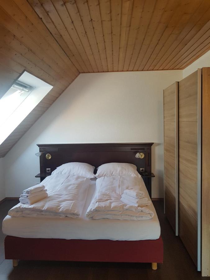 Eisberg Gaestehaus & De Luxe Appartements Friesenheim  Kültér fotó