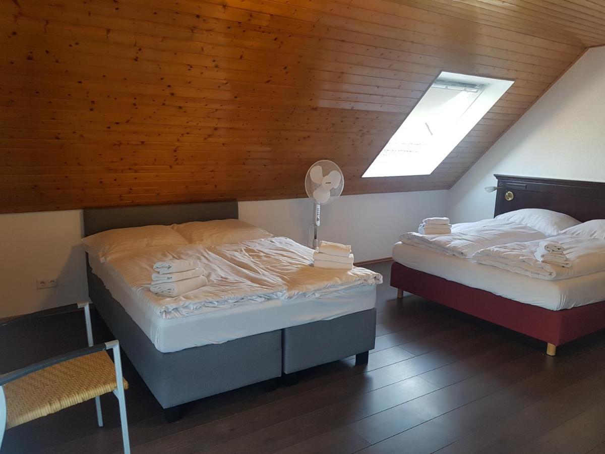 Eisberg Gaestehaus & De Luxe Appartements Friesenheim  Kültér fotó